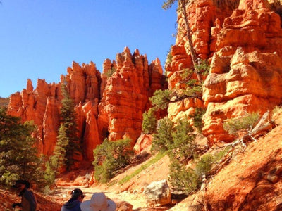 Peter and Mia's Adventure Across the U.S. with the Push Brush Toothbrush
