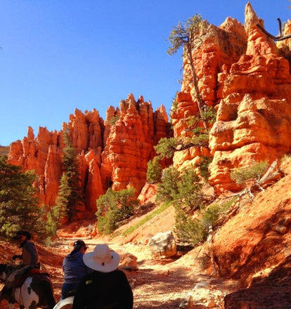 Peter and Mia's adventure trip with the Push Brush toothbrush through the USA